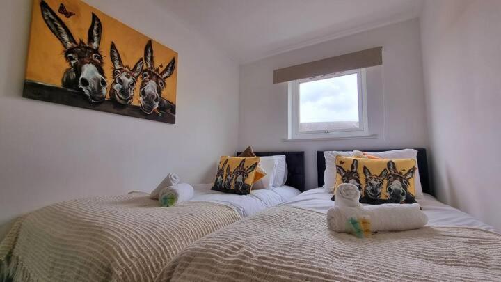 Apartmán No 62 Fivedom - Charming & Cosy Southampton Exteriér fotografie